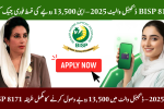 BISP 8171 Digital Wallet September 2025
