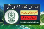 NADRA Latest Government Jobs – Apply Online for National Database & Registration Authority Vacancies