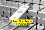 Today Silver Rate in Pakistan
